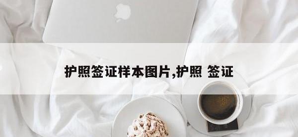 护照签证样本图片,护照 签证